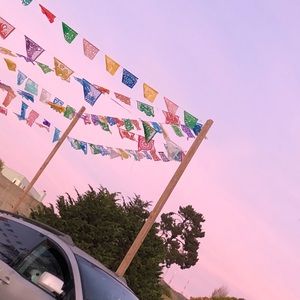 Meet your Posher, Isabelle